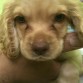 Hola soy roy y aqui tenia 3 meses
