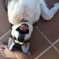 casa 3 meses