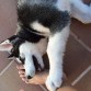 casa 3 meses