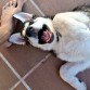 casa 3 meses