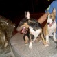 thor y su hermana kimera con 7 meses