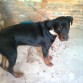 KECHA AL LOS 8 MESES