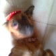 majo a los 7 meses de edad