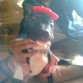 killer a los 3 meses