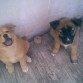 Hermanas
