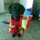 esque le encanta los mundiales de españa¡¡