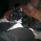 viendo la tele con papi