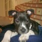 aixx me la como!! en la nueva casa (viator)