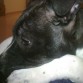 Q guapaaaaa mi gorda ^^