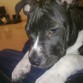 Ari aburrida ^^