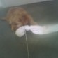 jugando