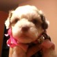 K LINDAAAA!!!!