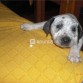 con 2 meses