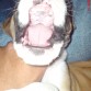 juguetona.