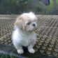 esta es mi Maggie.