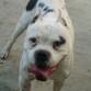 Aqui esta mi amigo con una sonrisa!