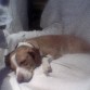 Mi rosquillita dormida