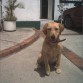 De 6 meses 2005