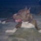 AQUI EN LA CALLE