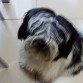 Carita de pena.