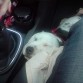 ZZZzzz