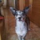 mirandoo a la camara