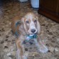 ESTA ES NENA AQUI TENIA CUATRO MESES