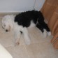 tedy y su primera siesta