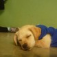 Ahi esta en una pequeña siesta!