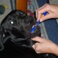 Nano lavando sus dientes
