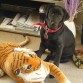 Junto a su tigre jjajajj mas grande que el 