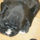 MI HERMANITA DE 16 DIAS DE NACIDO