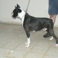 MI BOXER NEGROS