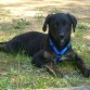 Nayah por fin se quedo quieta para la foto!