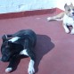 los dos tomando un solecitooo