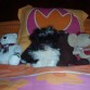 ESTOS SON MIS COMPIS