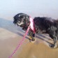 este dia fue el ultimo en nuestras vidas que pisaste la playa corazonmio