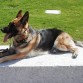 8 mths