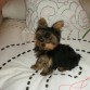 Hoy Hace 4 meses..! =D