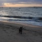Atardecer en la playa