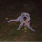 Dylan en el cesped con su pelota.