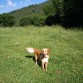 A los 8 meses, en Collserola