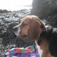 En Canarias con 8 meses