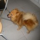 yo en la cocina,buscando comida