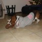 jugando con mi hermanita Luna