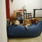 la cama es comoda!!