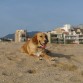 A los 9 meses, en la playa de Masnou (Invierno)