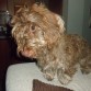 Tranquila en el sofa viendo la tele, pasa algo????
Estoy a punto de cumplir 10 meses