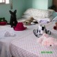 le encanta acostarse donde ay muñecos 
