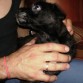 nada mas keria morder y morder